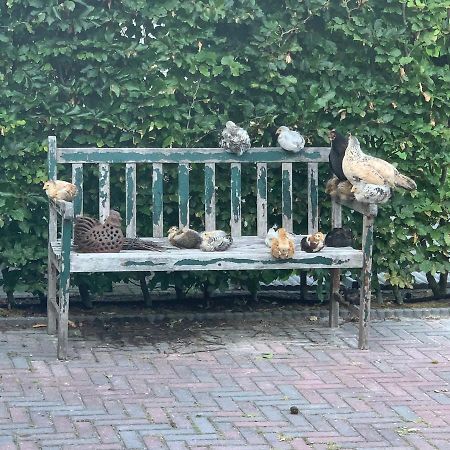 B&B Bos-Inn Meppen Eksteriør bilde